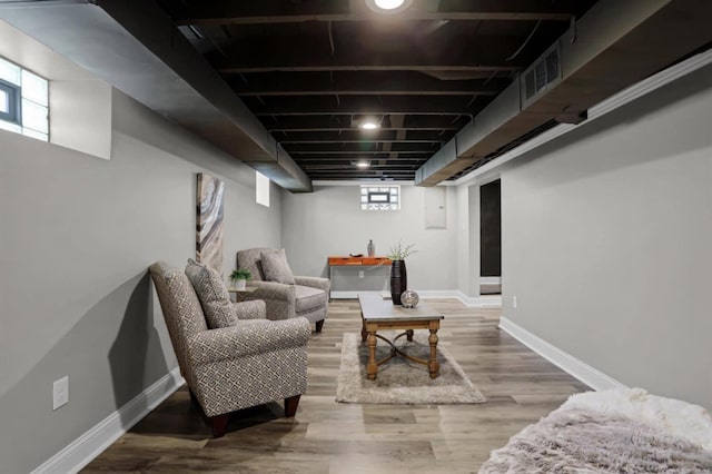 basement with hardwood / wood-style flooring and plenty of natural light