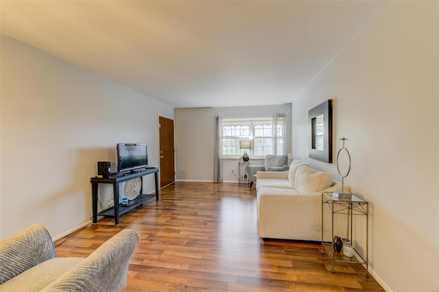 living room featuring wood-type flooring