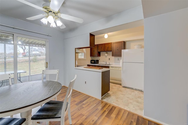 dining room featuring ceiling fan, light wood-type flooring, and sink