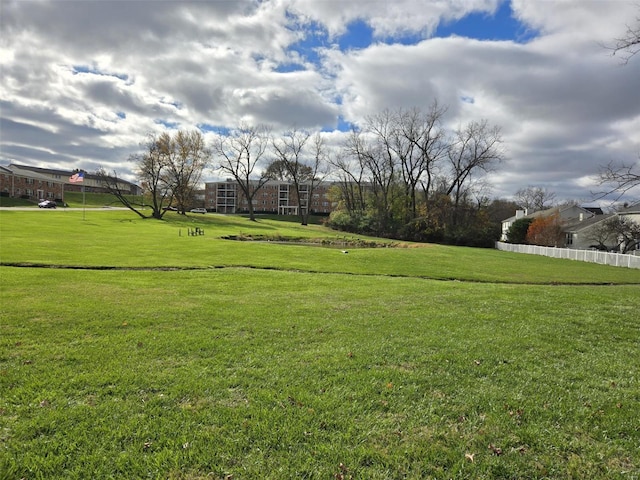 view of yard