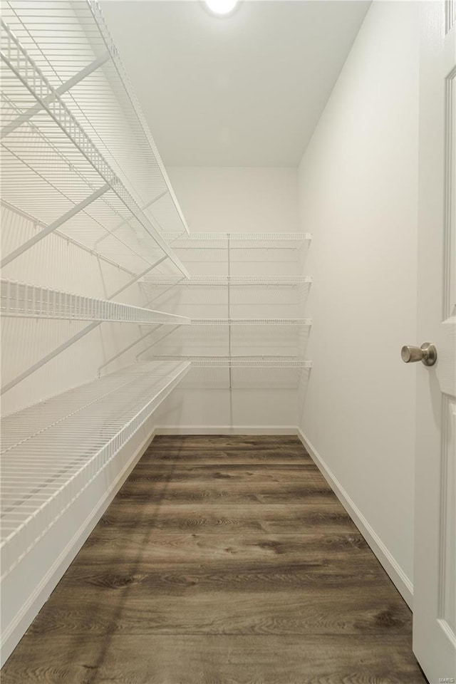 walk in closet featuring dark hardwood / wood-style flooring