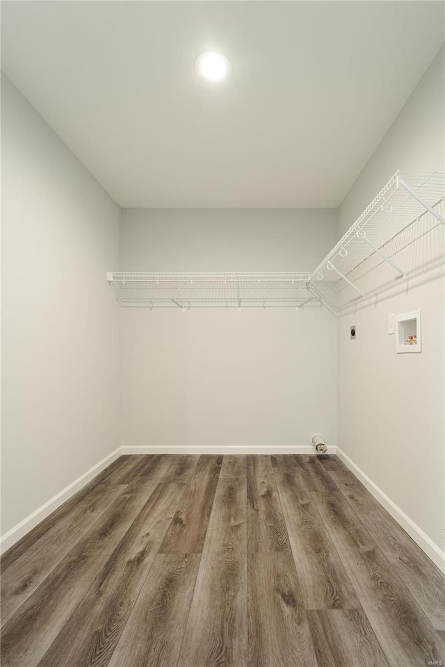 spacious closet with dark hardwood / wood-style floors