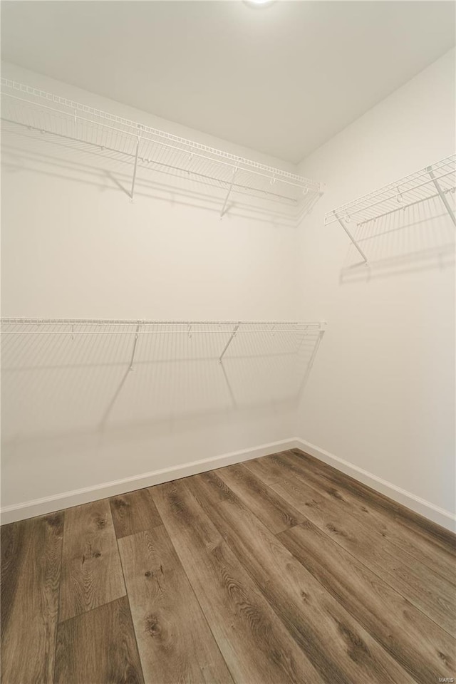 walk in closet featuring hardwood / wood-style floors