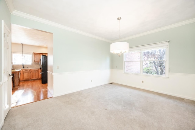 carpeted spare room with ornamental molding and sink