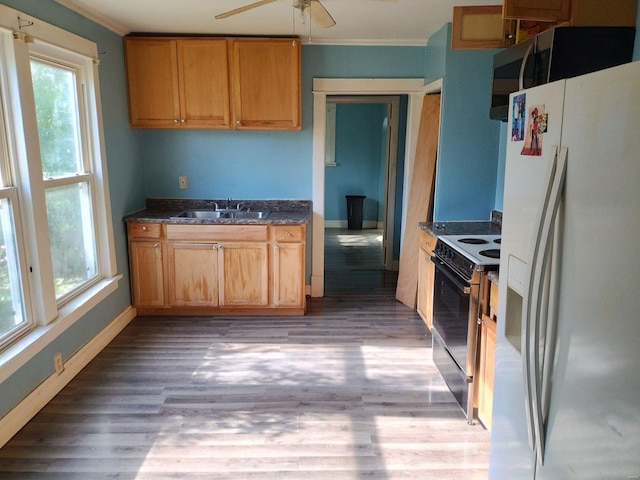 kitchen featuring electric range, sink, ceiling fan, white refrigerator with ice dispenser, and light hardwood / wood-style floors