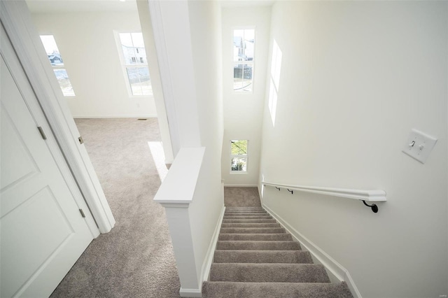 stairs featuring carpet