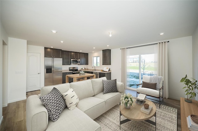 living room featuring light hardwood / wood-style flooring and sink