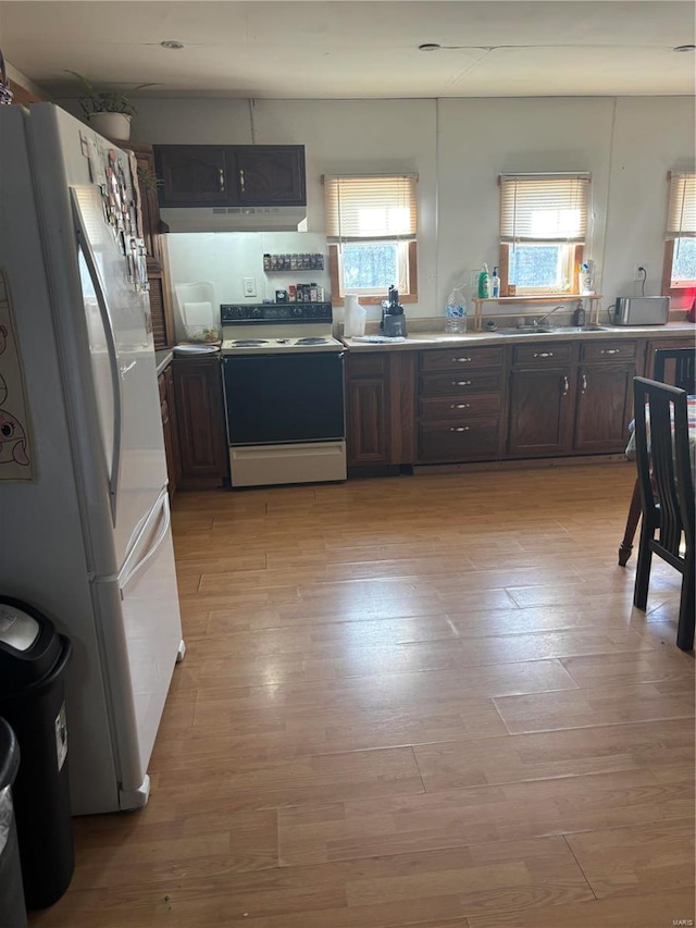 kitchen featuring electric range oven, dark brown cabinets, white fridge, and a wealth of natural light