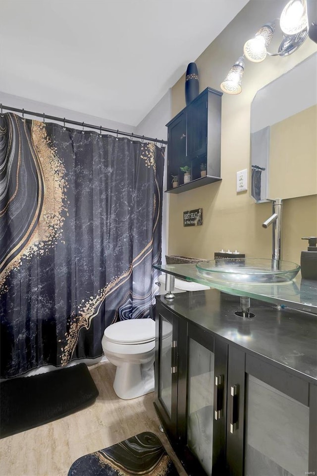 bathroom featuring vanity, toilet, and wood finished floors