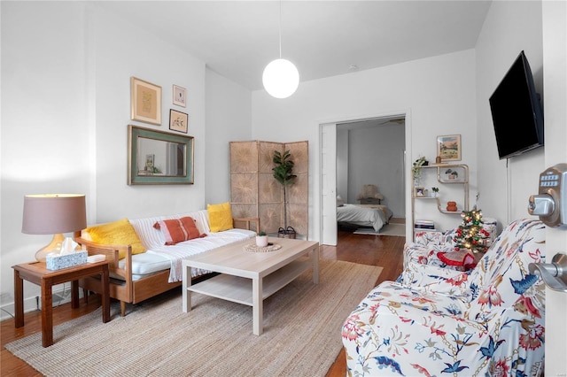 living room featuring hardwood / wood-style floors