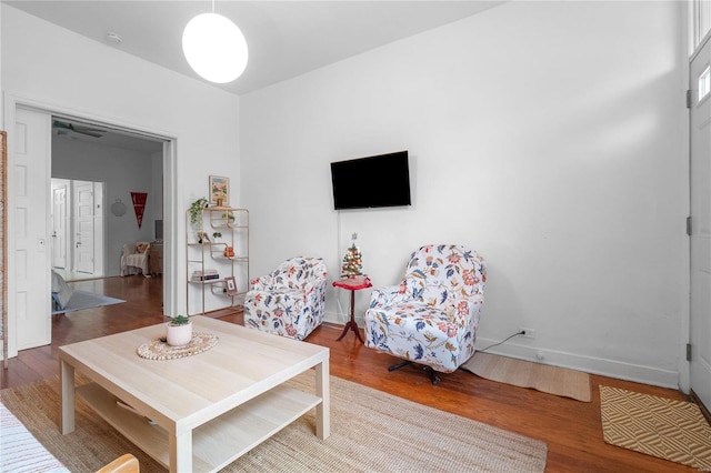 living room with hardwood / wood-style flooring