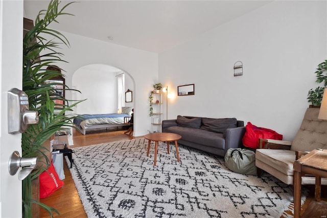 living room featuring wood-type flooring