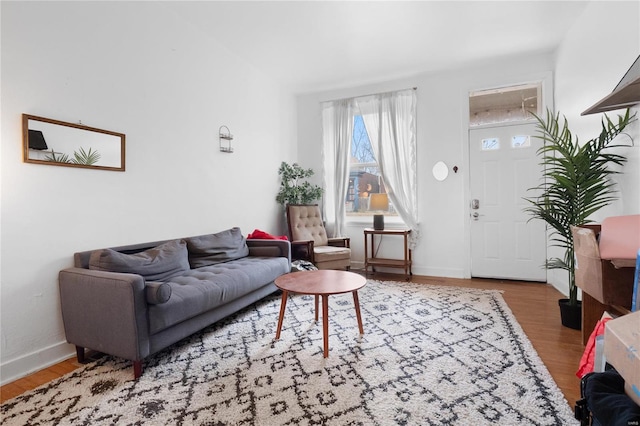 living room with hardwood / wood-style flooring