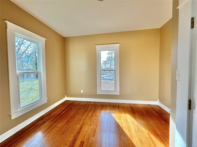 spare room featuring wood-type flooring