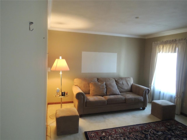 living room with ornamental molding and carpet