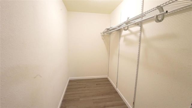 walk in closet with hardwood / wood-style flooring