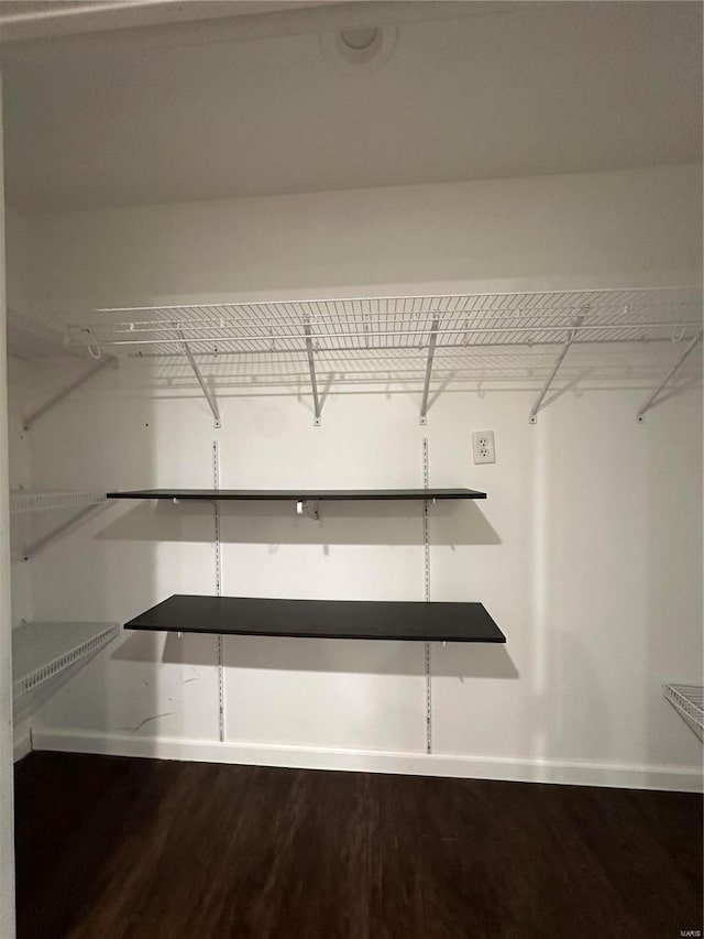 walk in closet featuring hardwood / wood-style flooring