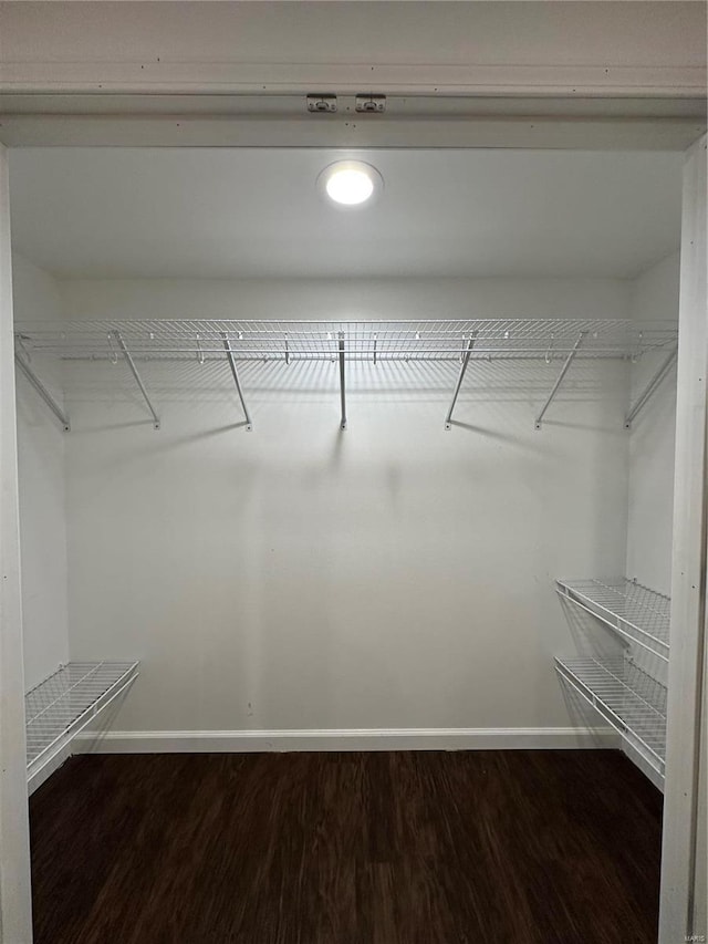 spacious closet featuring dark hardwood / wood-style floors