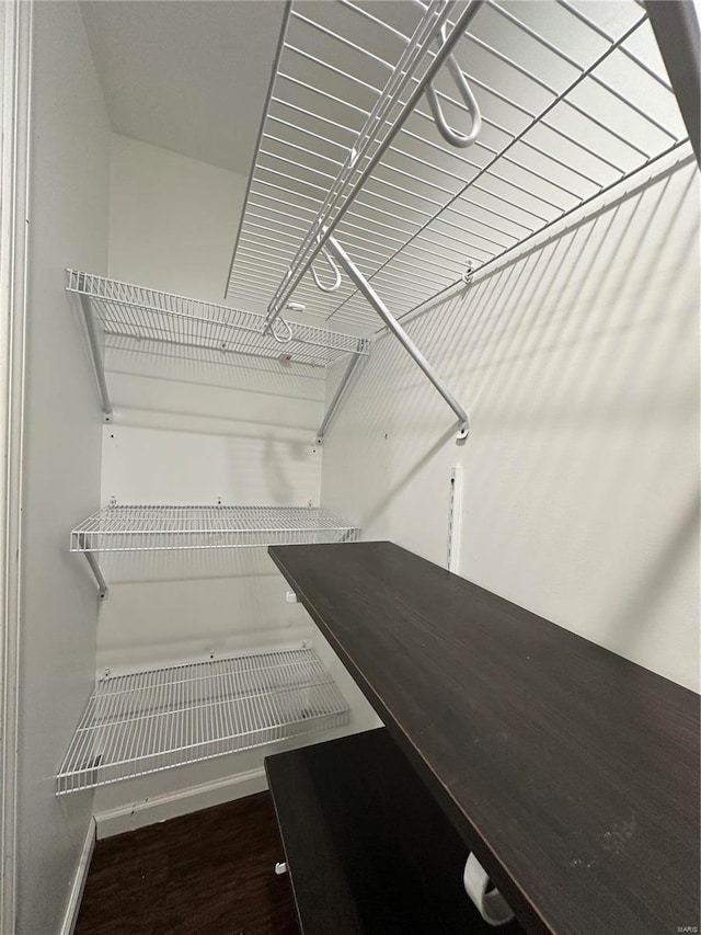 walk in closet featuring dark hardwood / wood-style floors