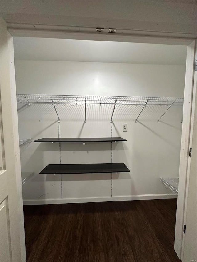 walk in closet with dark hardwood / wood-style floors