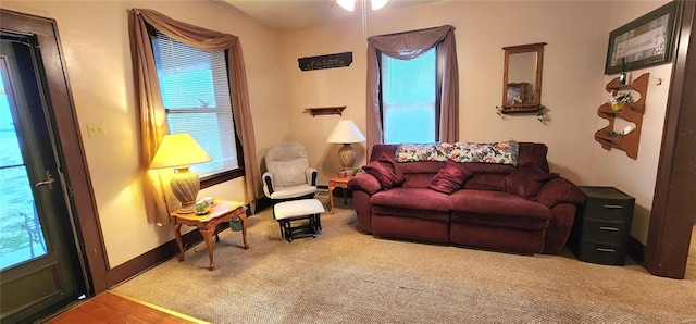 living room with hardwood / wood-style flooring