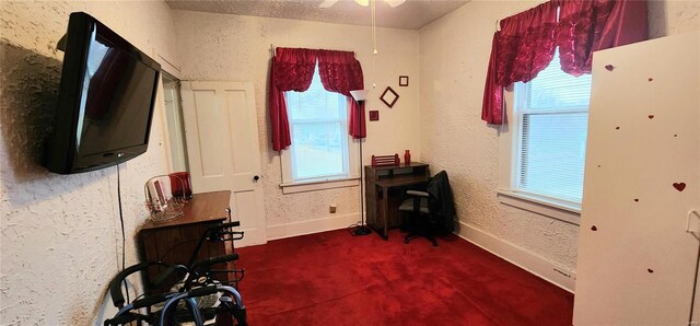 interior space featuring carpet floors, plenty of natural light, and ceiling fan