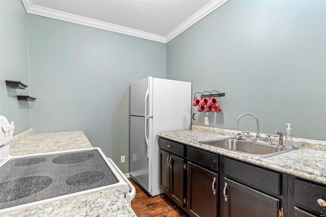 kitchen with sink, dark hardwood / wood-style flooring, white refrigerator, crown molding, and stove