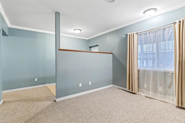 empty room featuring carpet and crown molding