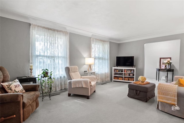 carpeted living room with a wealth of natural light