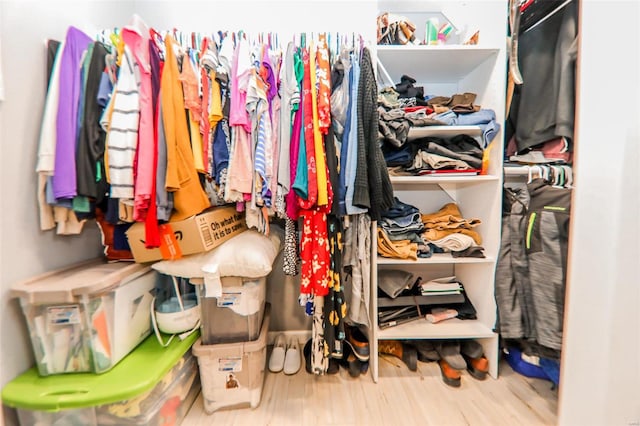 spacious closet with hardwood / wood-style flooring