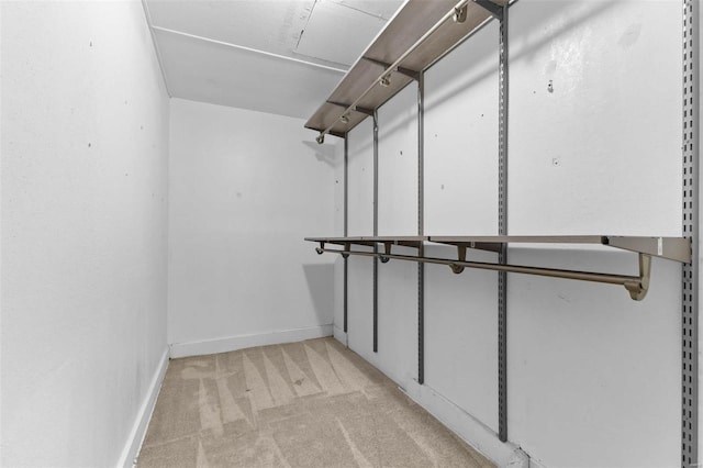 walk in closet with light carpet