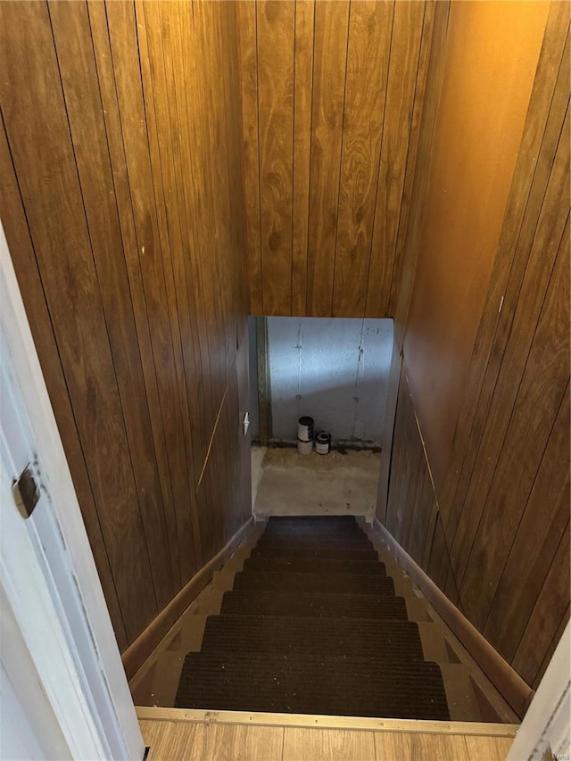 staircase featuring wooden walls