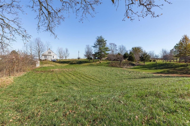 view of yard featuring a rural view