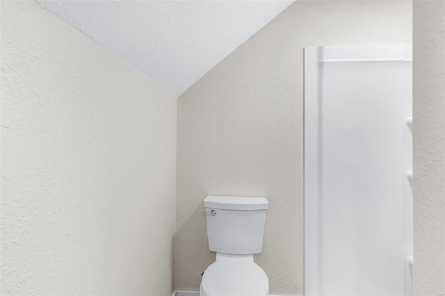 bathroom featuring toilet, lofted ceiling, and a textured ceiling