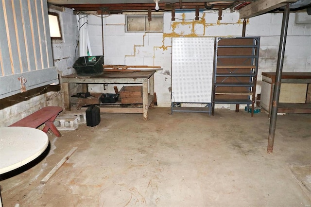 basement featuring a workshop area