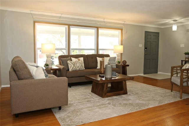 living room featuring hardwood / wood-style floors