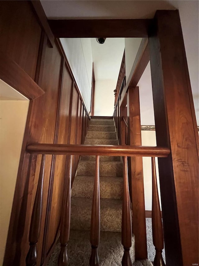 staircase featuring carpet flooring