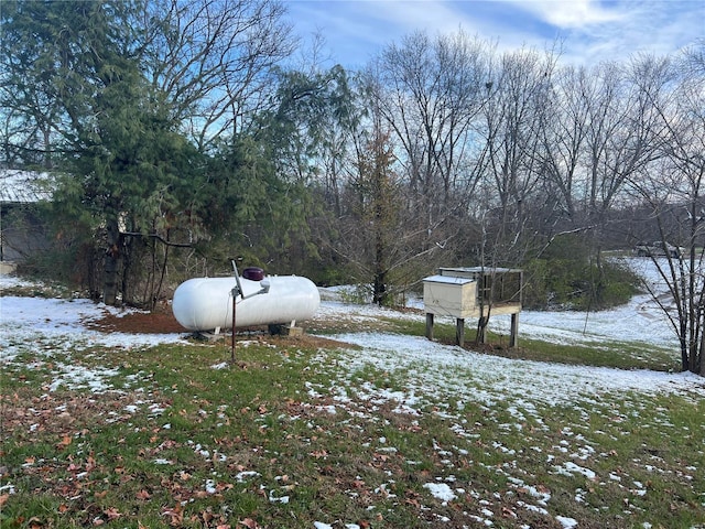 view of snowy yard