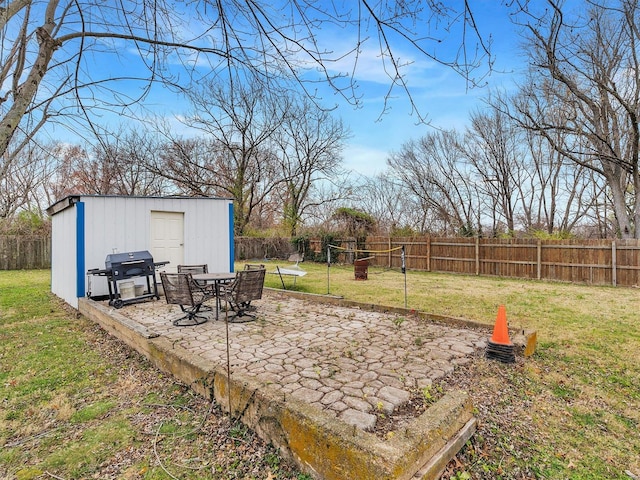 view of yard featuring a patio area and a storage unit