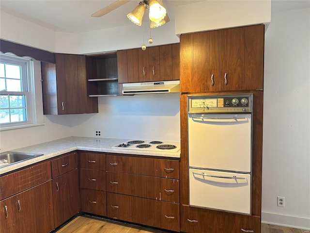 kitchen featuring ceiling fan, light hardwood / wood-style flooring, white electric cooktop, dark brown cabinets, and exhaust hood