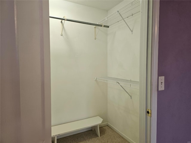 view of walk in closet