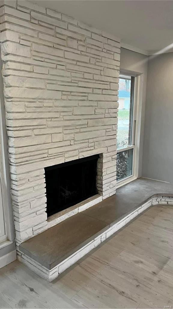 room details with a stone fireplace and wood-type flooring