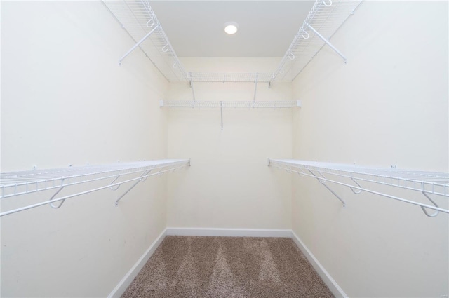 spacious closet with carpet flooring