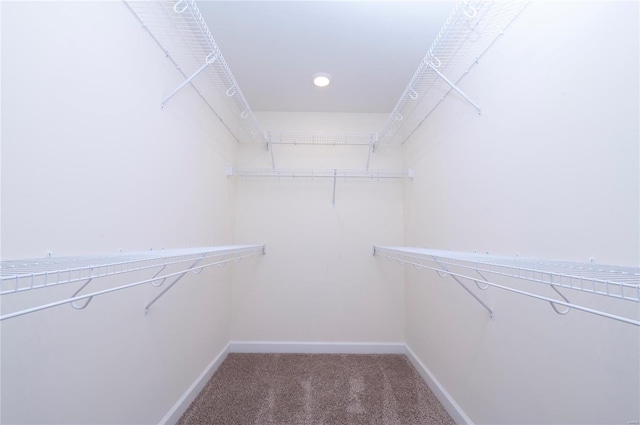 walk in closet with carpet floors