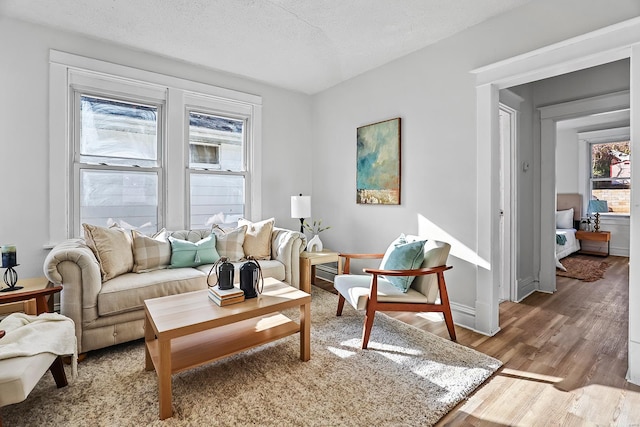 sitting room with wood-type flooring and a textured ceiling