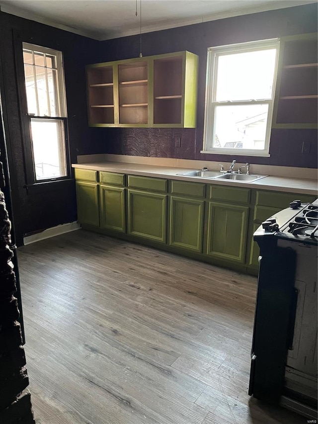 kitchen with green cabinets, a wealth of natural light, and sink