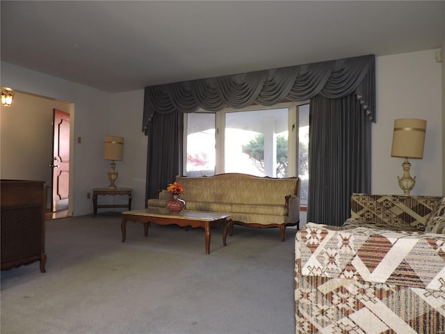 living room featuring carpet flooring