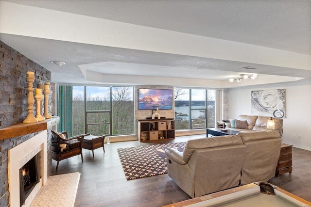 living room featuring a raised ceiling, a stone fireplace, and wood-type flooring