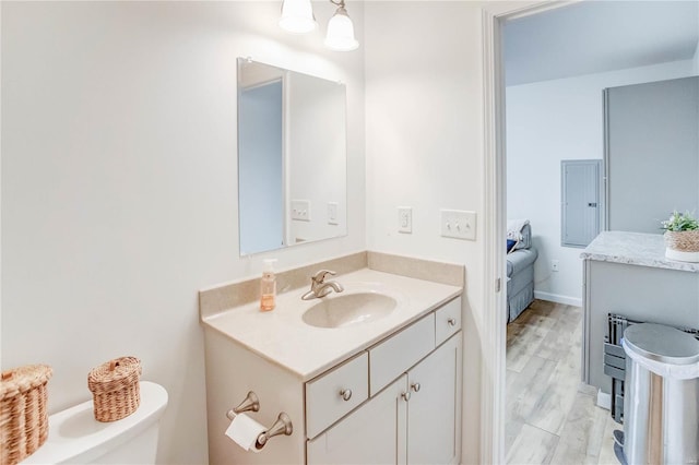 bathroom featuring vanity, toilet, and wood-type flooring