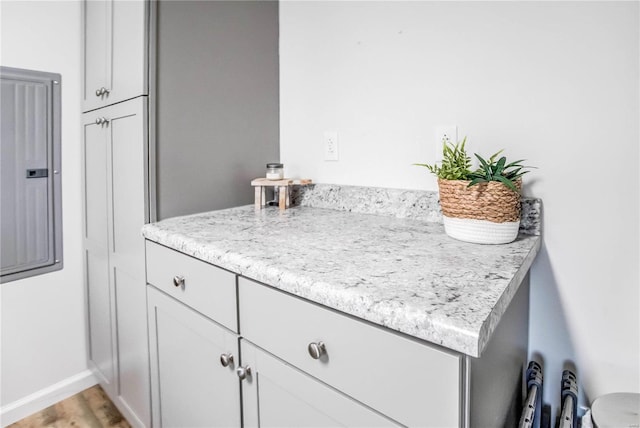 bathroom featuring electric panel and hardwood / wood-style floors